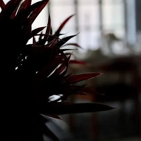 Holiday home The Old Town Heritage House