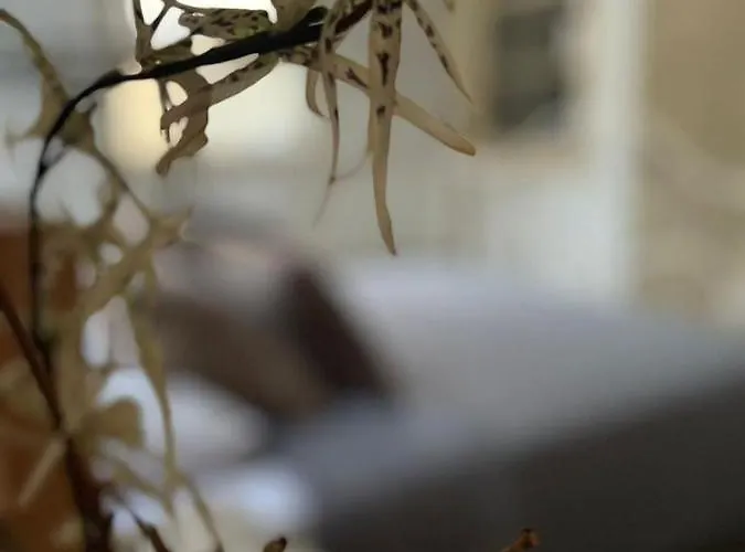 The Old Town Heritage House Nicosia