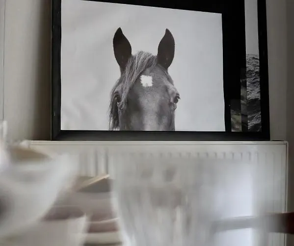 The Old Town Heritage House * Lefkoşa