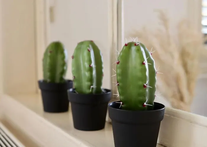 The Old Town Heritage House *