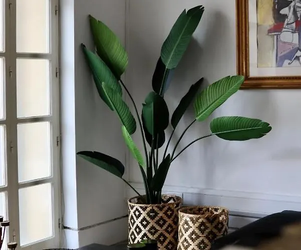 Tatil Evi The Old Town Heritage House