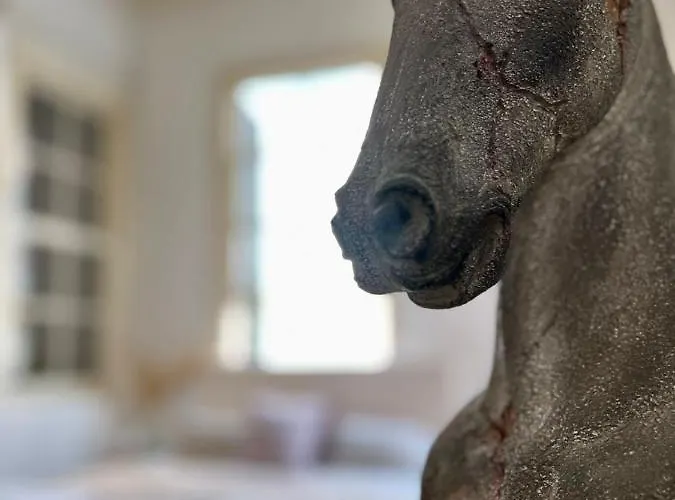 The Old Town Heritage House *