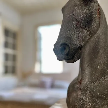 The Old Town Heritage House *